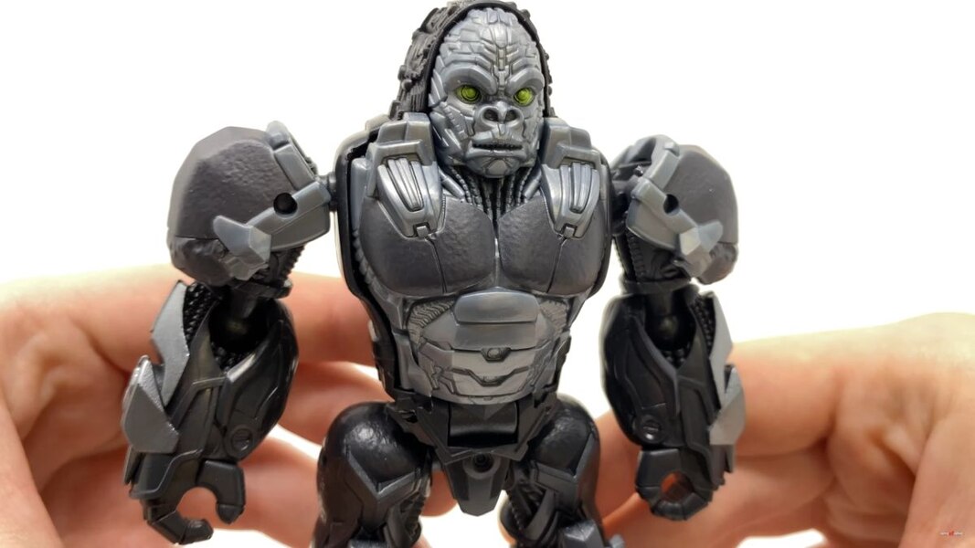 Transformers Rise Of The Beasts Optimus Primal Tigatron In Hand Image  (10 of 35)